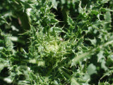 Select an image to enlarge