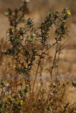 Select an image to enlarge