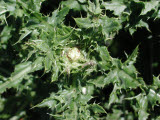 Select an image to enlarge