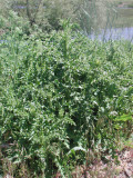 Select an image to enlarge