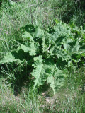 Select an image to enlarge