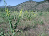 Select an image to enlarge