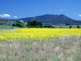 Select an image to enlarge