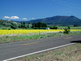 Select an image to enlarge