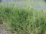Select an image to enlarge