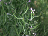 Select an image to enlarge