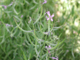 Select an image to enlarge