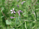 Select an image to enlarge