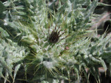 Select an image to enlarge