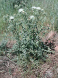 Select an image to enlarge