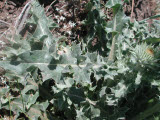 Select an image to enlarge