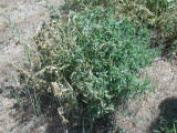 Select an image to enlarge