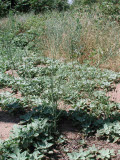Select an image to enlarge