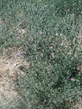 Select an image to enlarge