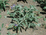 Select an image to enlarge