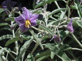 Select an image to enlarge