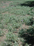 Select an image to enlarge