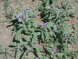 Select an image to enlarge