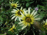 Select an image to enlarge