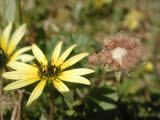 Select an image to enlarge