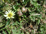 Select an image to enlarge