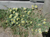 Select an image to enlarge