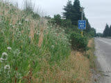 Select an image to enlarge