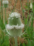 Select an image to enlarge