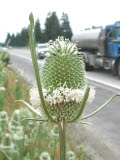 Select an image to enlarge