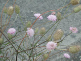 Select an image to enlarge