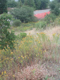 Select an image to enlarge