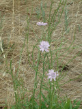 Select an image to enlarge