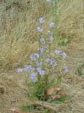 Select an image to enlarge