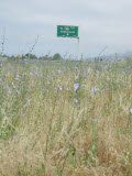 Select an image to enlarge