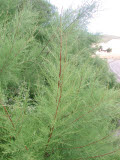 Select an image to enlarge
