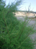 Select an image to enlarge