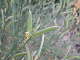 Select an image to enlarge