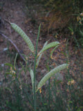 Select an image to enlarge