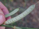 Select an image to enlarge