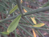 Select an image to enlarge