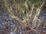 Select an image to enlarge