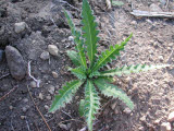 Select an image to enlarge