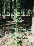 Select an image to enlarge