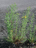 Select an image to enlarge