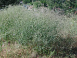 Select an image to enlarge