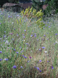 Select an image to enlarge