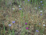 Select an image to enlarge