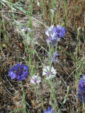 Select an image to enlarge