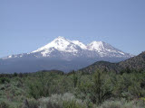 Select an image to enlarge