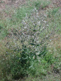 Select an image to enlarge